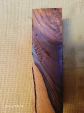 20250320_133747.jpg