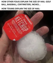 FB_IMG_1743079514603.jpg
