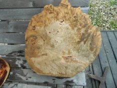 DSCN7641.JPG
