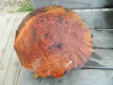 DSCN7632.JPG