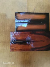 20250405_084921.jpg