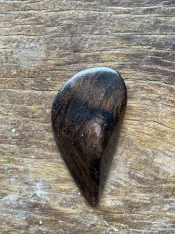 IMG_2064.jpeg