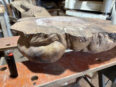IMG_2064.jpeg