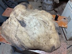 IMG_2055.jpeg
