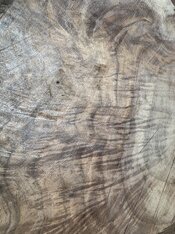 IMG_2066.jpeg