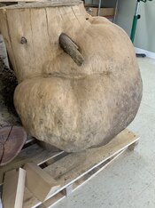 IMG_8582.jpeg