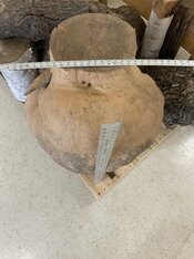 IMG_8580.jpeg