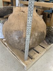 IMG_8578.jpeg