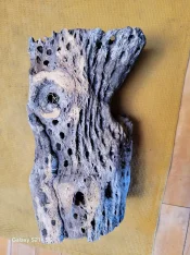 20250407_112402.jpg