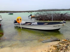 boat.webp