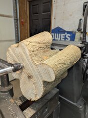 PXL_20250507_162433768.jpg