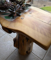 juniper bench side.jpg