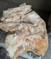 aspen stump top.jpg