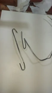 IMG-20250526-WA0028.jpeg