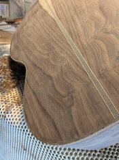 back bound angle view.jpg