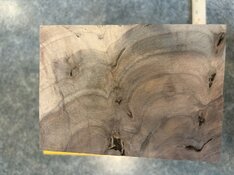 IMG_2331.jpeg