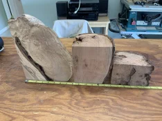 IMG_8910.jpeg