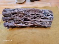 20250609_114449.webp