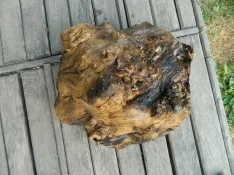 DSCN7840.webp