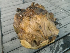 DSCN7843.webp