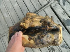 DSCN7845.webp