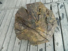 DSCN7849.webp