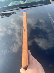 IMG_6162.jpeg