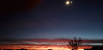 20250201_181714.jpg