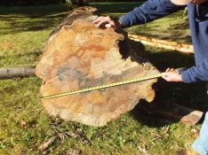 duck-spalted-003.webp