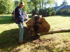 duck-spalted-005.webp