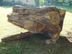 duck-spalted-006.webp