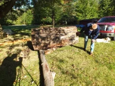 duck-spalted-007.webp