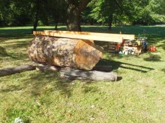 duck-spalted-008.webp
