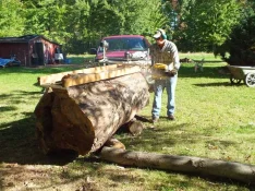 duck-spalted-009.webp