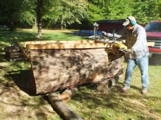 duck-spalted-010.webp