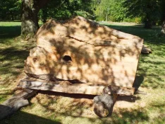 duck-spalted-015.webp