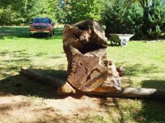 duck-spalted-016.webp
