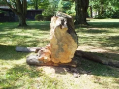 duck-spalted-017.webp