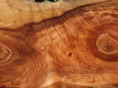 duck-spalted-023.webp