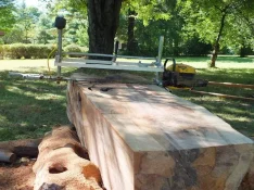 duck-spalted-026.webp