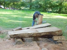 duck-spalted-029.webp