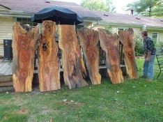duck-spalted-030.webp