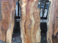 duck-spalted-034.webp