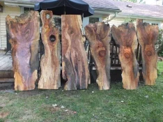 duck-spalted-035.webp