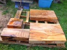 duck-spalted-038.webp