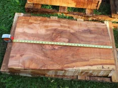 duck-spalted-039.webp