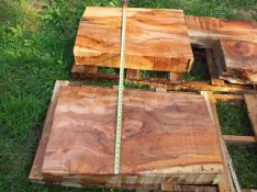 duck-spalted-040.webp