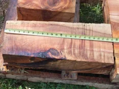 duck-spalted-041.webp