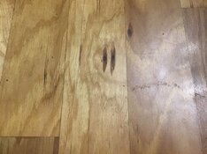 IMG_0780.jpeg