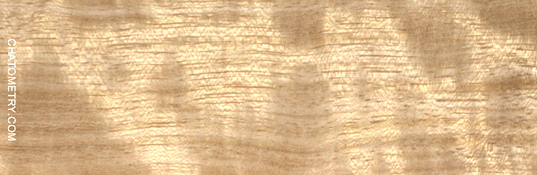 test_01490gif.gif